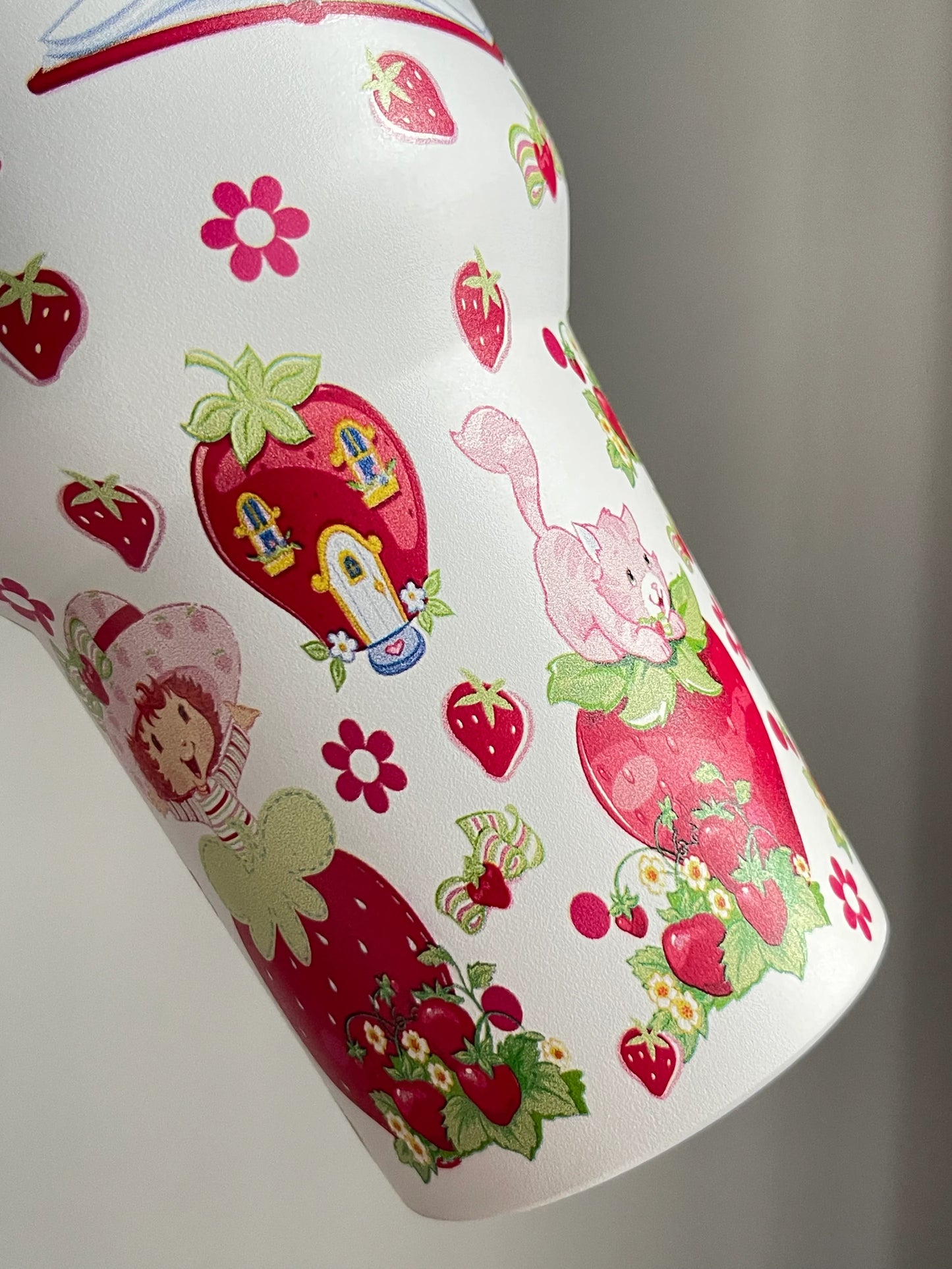 Strawberry Shortcake Storytime 40 Oz Tumbler